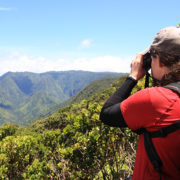 Kauai Forest Bird Research and Conservation