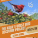 Voices of Conservation 1